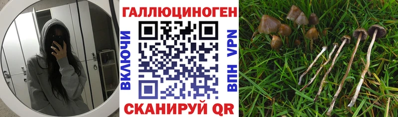 как найти закладки  Удомля  Псилоцибиновые грибы прущие грибы 