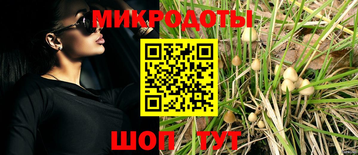 Галлюциногенные грибы мицелий Удомля