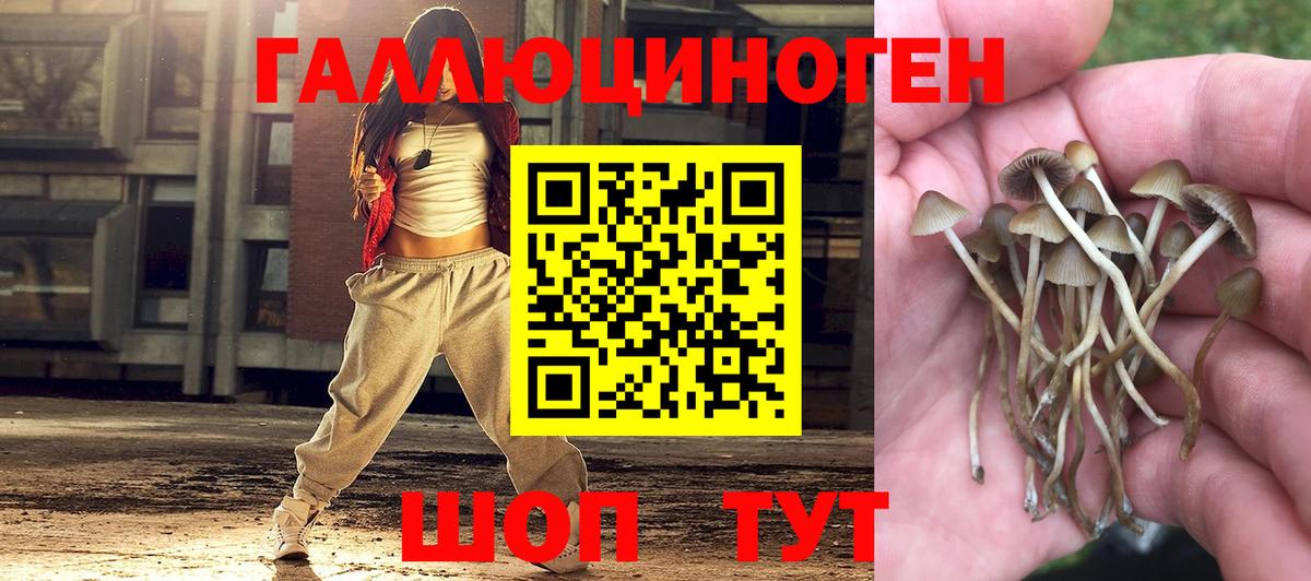 Удомля  Псилоцибиновые грибы GOLDEN TEACHER  Галлюциногенные грибы прущие грибы  Вход с VPN 