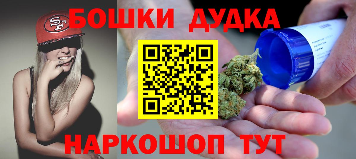 Бошки Шишки план Удомля